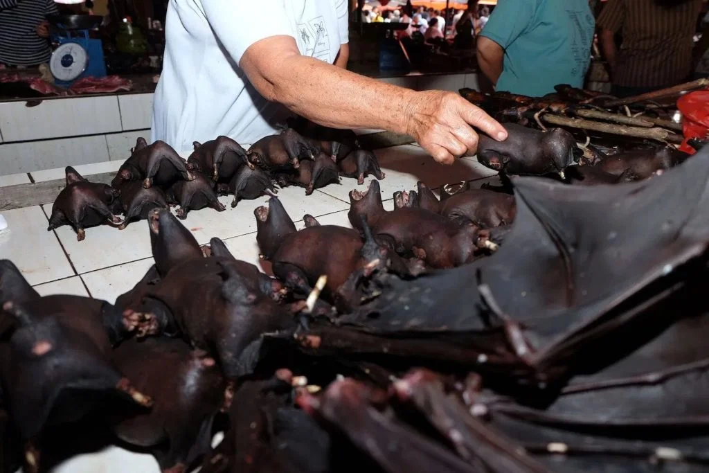 Bats sold at the market in Wuhan