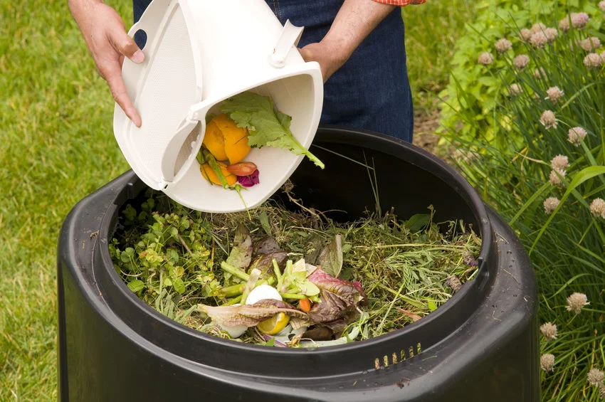 compost methods food scraps