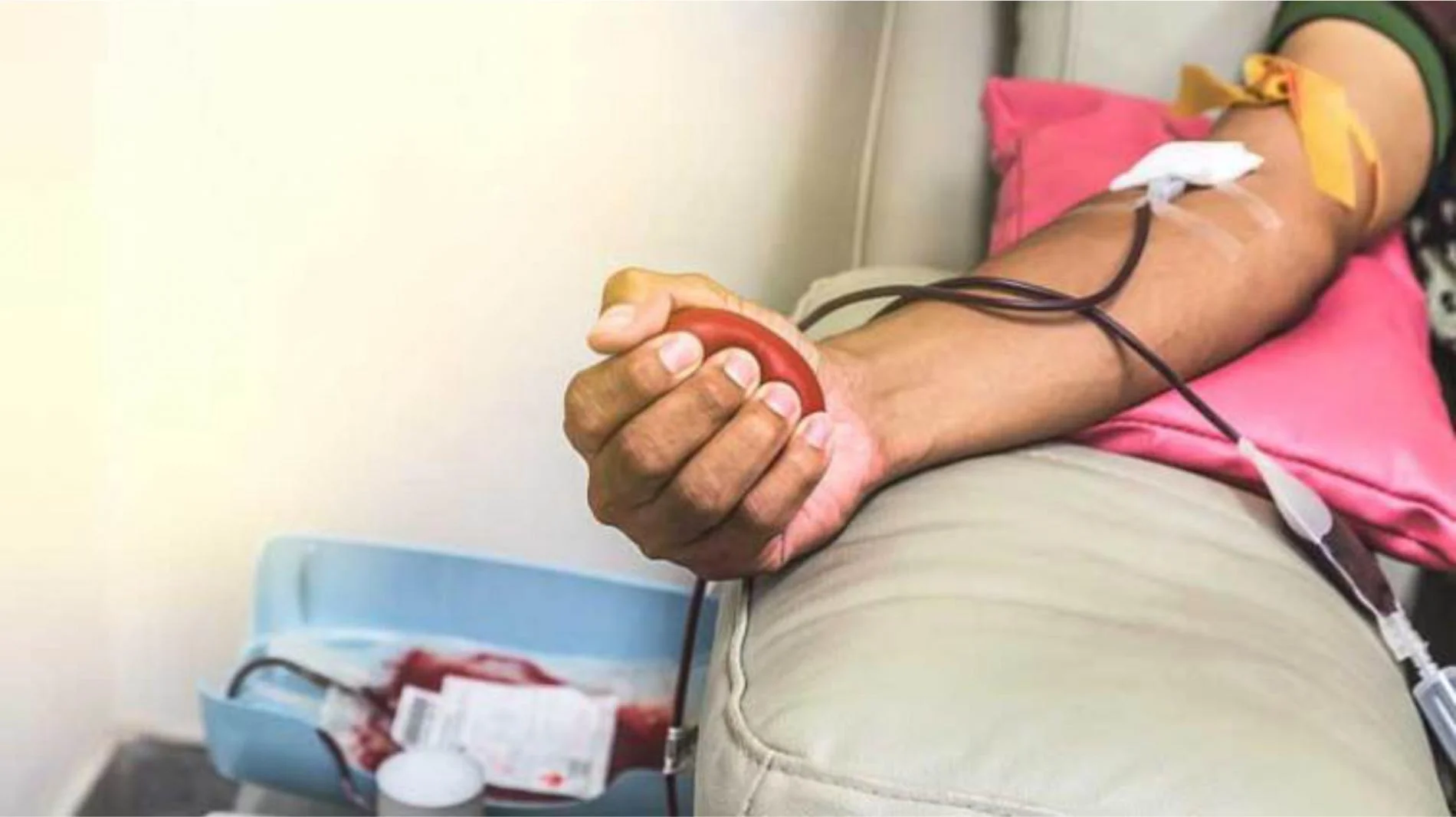 Blood donor in the process of giving save blood.