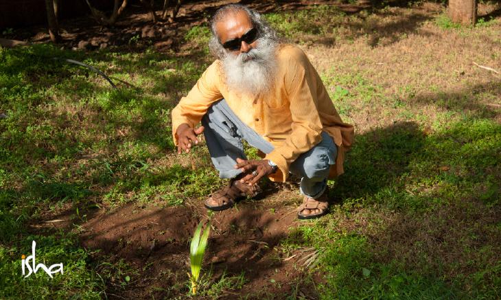 saving indias soil through better farming 1