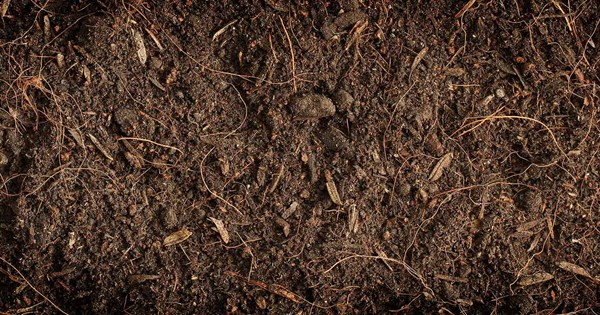 what does organic matter do in soil
