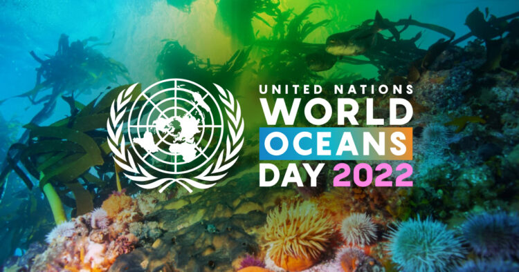 Image credit: United Nations