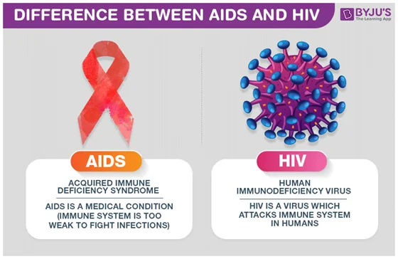 Difference Between AIDS and HIV