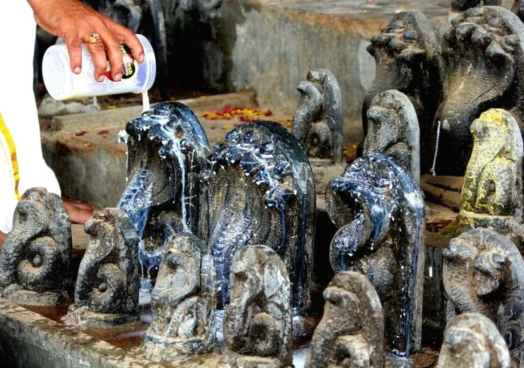 Image Source: Prokerala