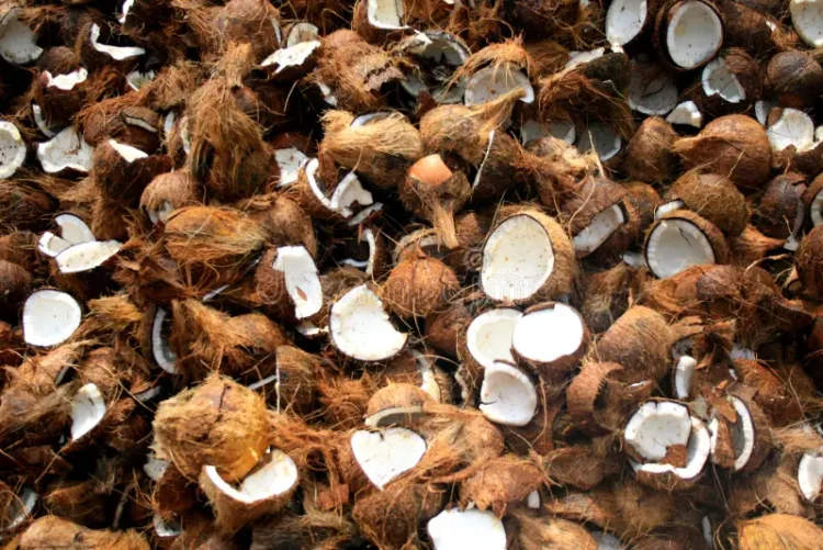 Image Source: Dreamstime