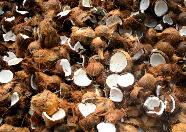 Image Source: Dreamstime