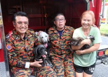 Image source: Malay Mail