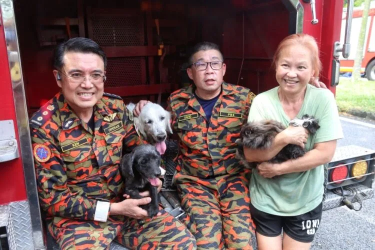 Image source: Malay Mail