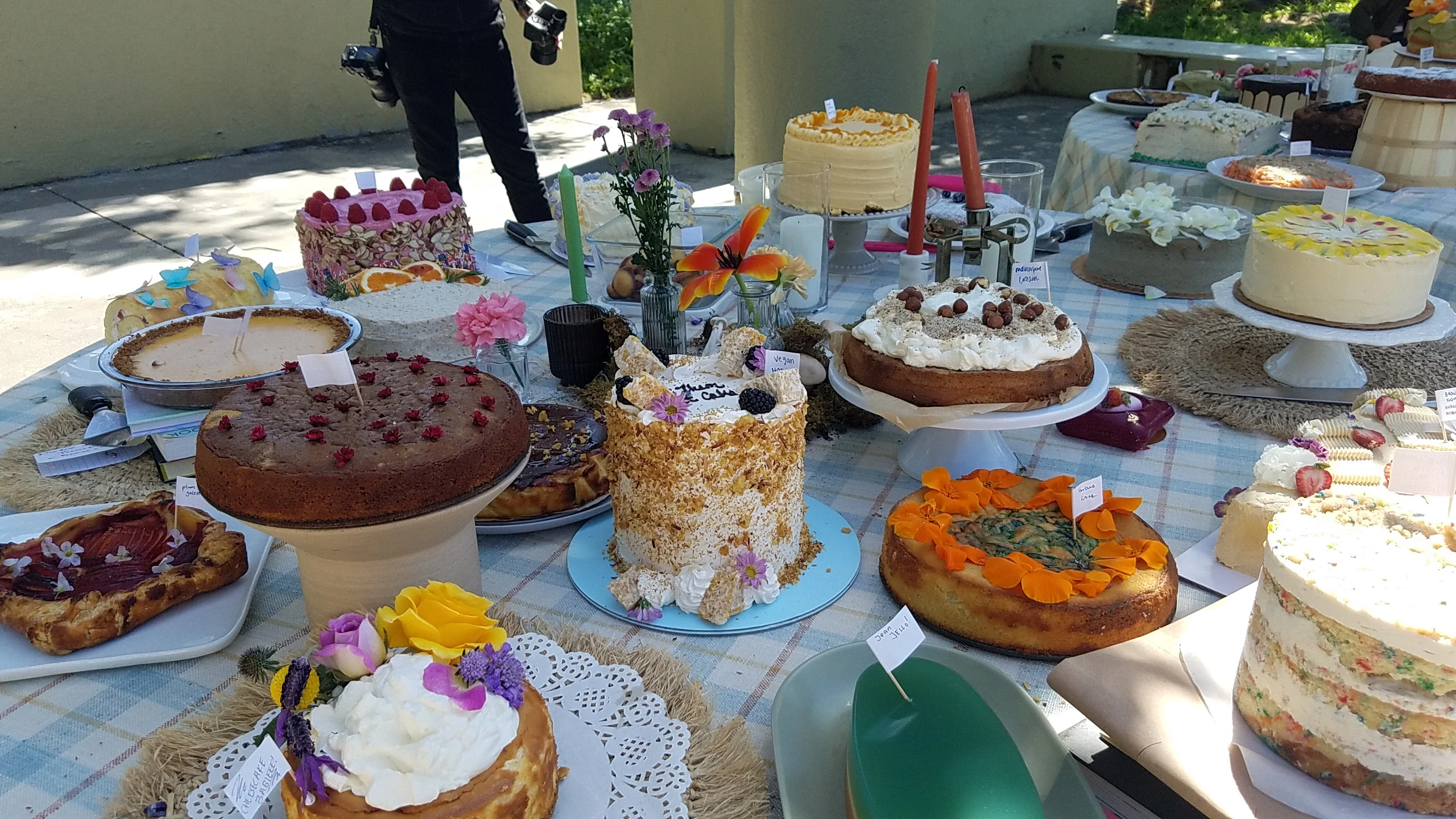 Free Cake Picnic in SF's Potrero del Sol Park attracts hundreds - Local News Matters