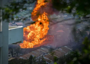 Image Source: The Vibes