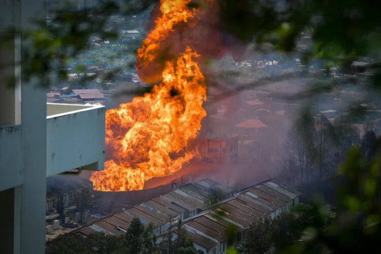 Image Source: The Vibes