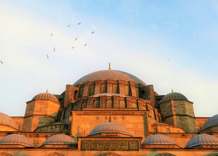 Image Source: Pexels