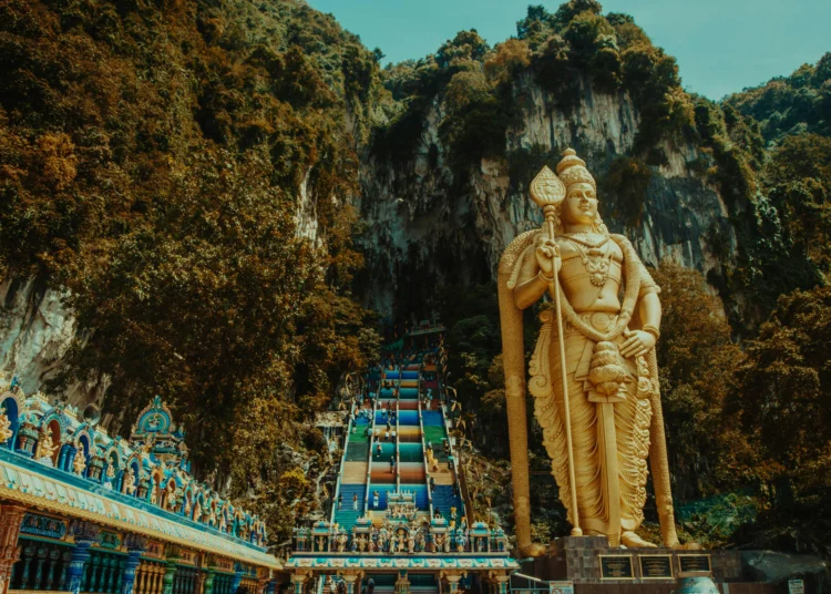 Image Source: Pexels