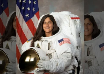 Image Source: Wikimedia Commons