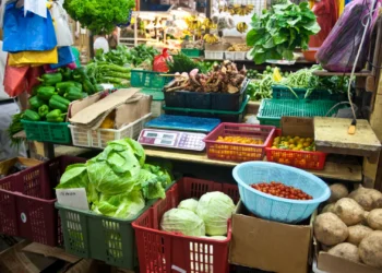 Image Source: Wikimedia Commons