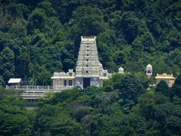 Image Source: Wikimedia Commons