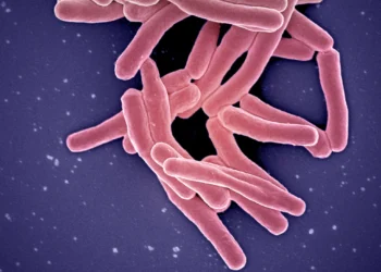 Image Source: Wikimedia Commons