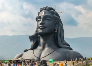 Image Source: Pexels