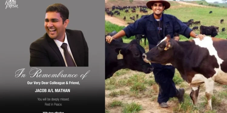 Image Source: Farm Fresh Malaysia