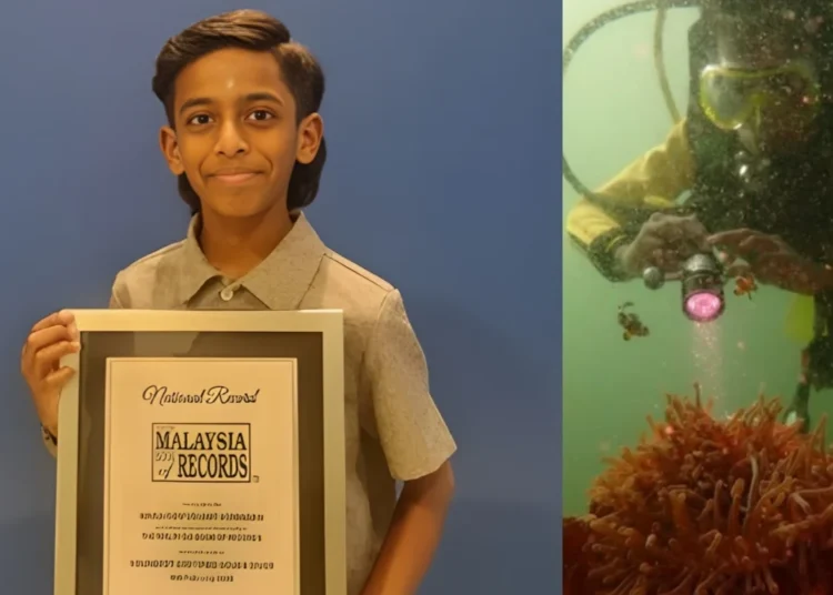 Image Source: omorfibridal_by_subashini Instagram