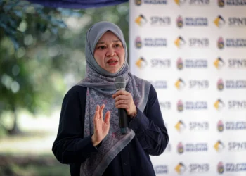 image source: fadhlina sidek fb