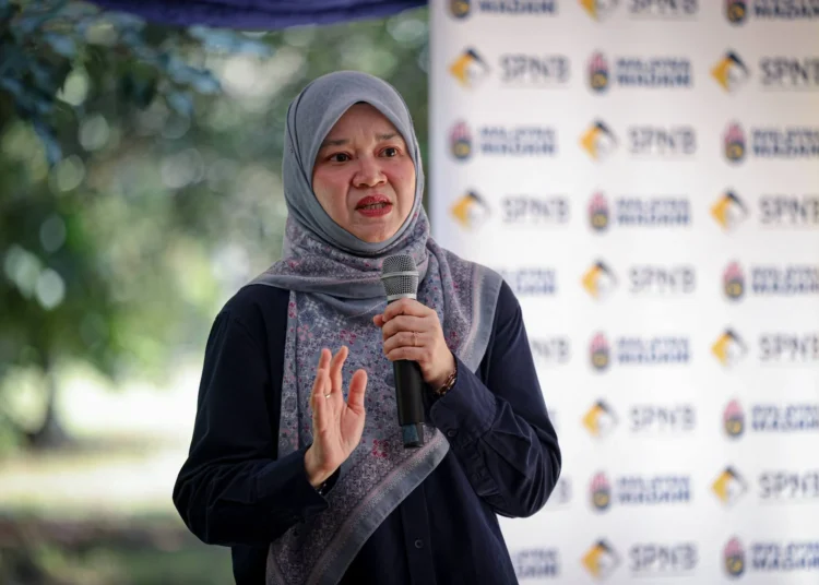 image source: fadhlina sidek fb