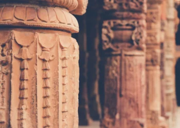 Image Source: Pexels