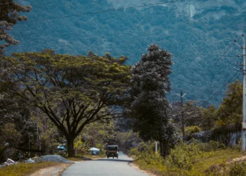 image source: pexels