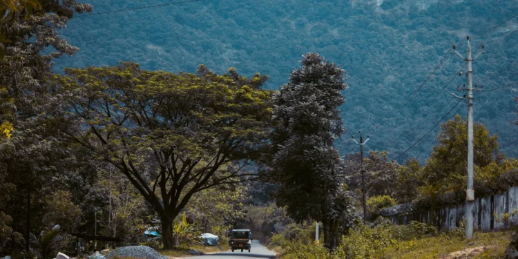 image source: pexels