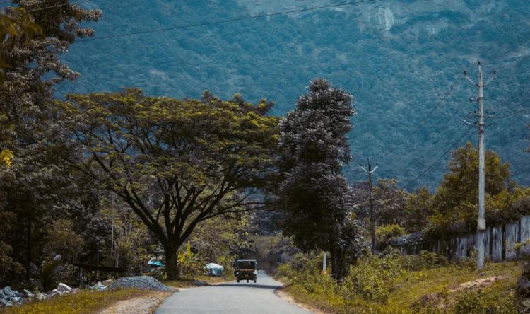 image source: pexels